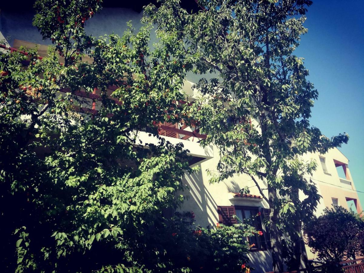 Villa Letina Sukošan Exterior foto
