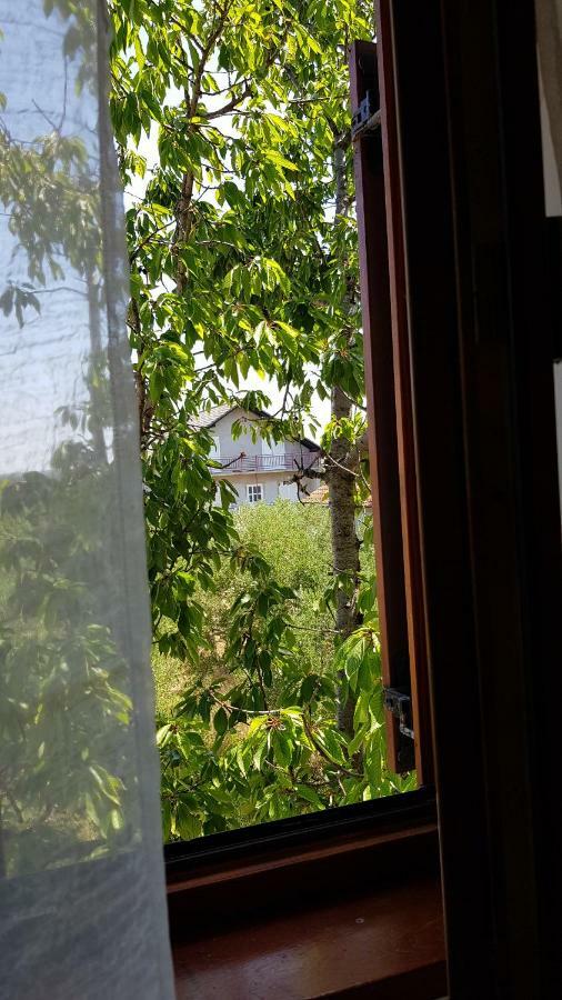 Villa Letina Sukošan Exterior foto